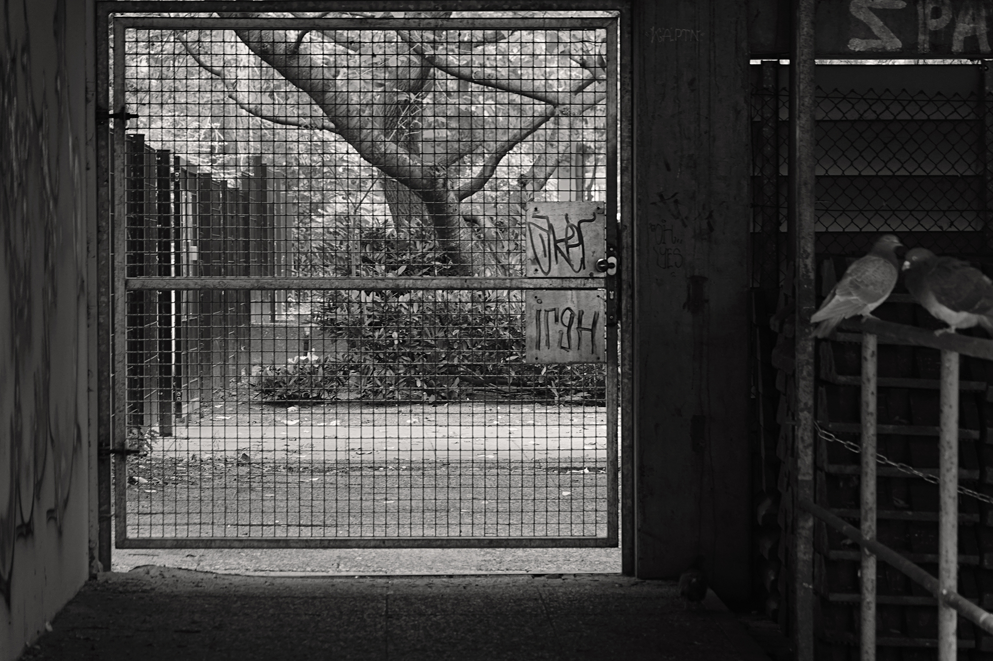 Christoph Radke, Berlin, Ritterstraße, 2021